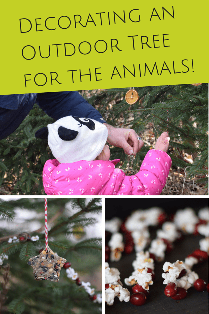 decorating a outdoor tree for the animals