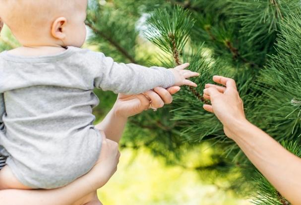 Woman holding a baby outside while letting them touch a tree branch