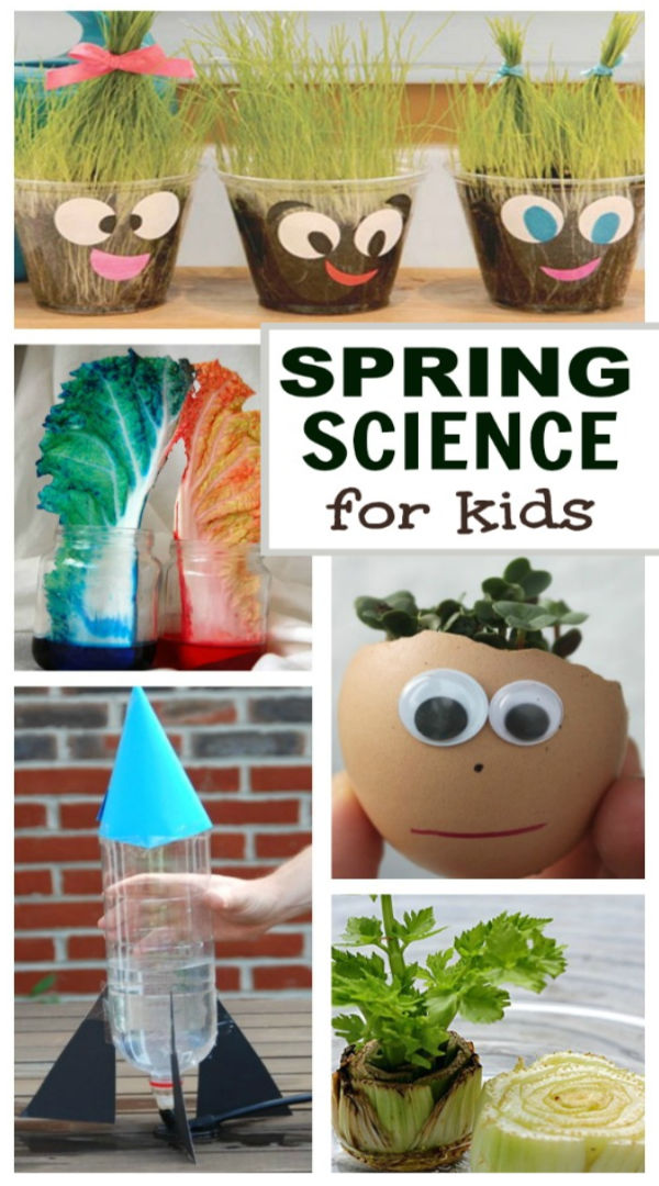 Spring science experiments for kids. 30+ ideas! #scienceexperimentskids #springscienceactivitiespreschool #springexperimentsforkids #springcrafts #growingajeweledrose #activitiesforkids