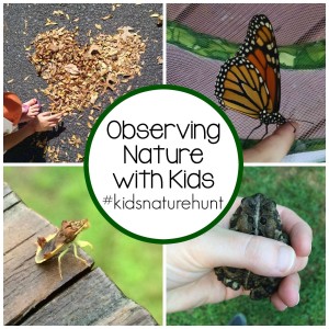 Observing Nature with Kids on Instagram #kidsnaturehunt