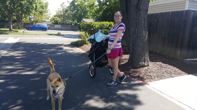 Activities for infants and toddlers walk outdoors with stroller and dog